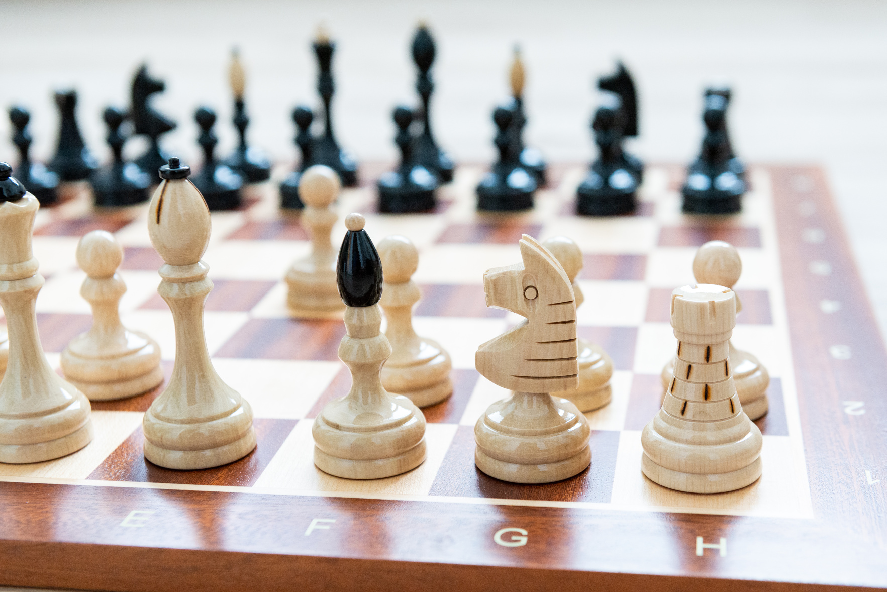 Česká klubovka Original s javorovou šachovnicou